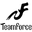 TEAMFORCE Logo